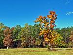 Spotsylvania Battlefield in the Fall