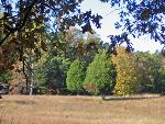 Spotsylvania Battlefield in the Fall
