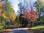 Spotsylvania Battlefield in the Fall