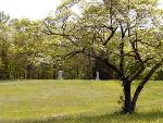 Spotsylvania Battlefield