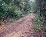 Old Germann Plank Road