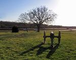 Chancellor House Site