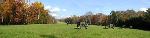 Hazel Grove