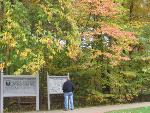 Fall Coloring at Chancellorsville