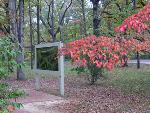 Fall Coloring at Chancellorsville