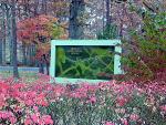Fall Coloring at Chancellorsville