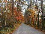 Fall Coloring at Chancellorsville