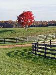 Site of Jackson's Flank Attack