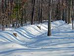 Confederate Earthworks