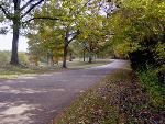 Fredericksburg Battlefield-Lee Drive