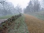 Sunken Road