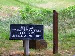 Site of 22 inch diameter tree