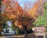 Entrance to Chatham Manor