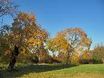 Fall at Stonewall Jackson Shrine