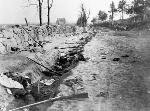 Confederate Dead in Sunken Road