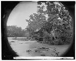 Quarles Mills (Library of Congress)