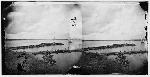 Belle Plain Wharf (Library of Congress)