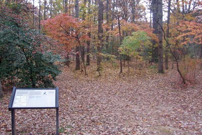 Site of wounding of Jackson