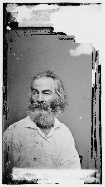 Walt Whitman taken by Mathew Brady. (Library of Congress)
