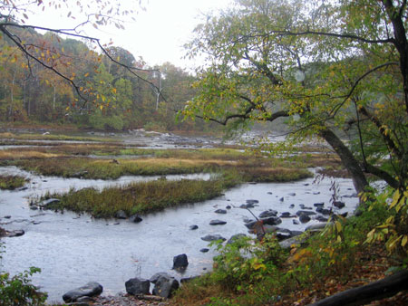 Banks Ford