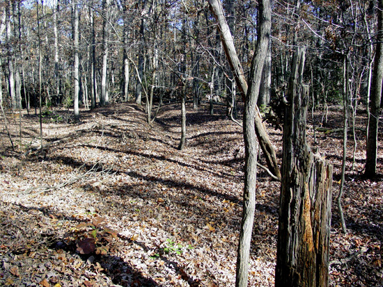 Confederate earthworks