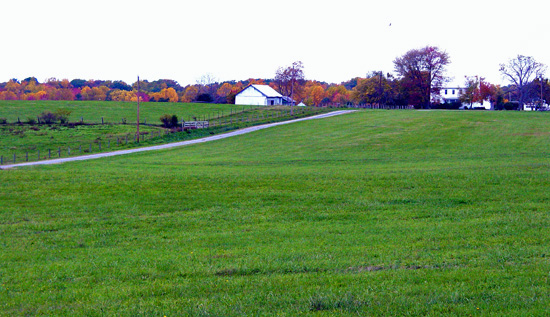 Harris Farm
