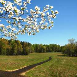 Saunders Field, Confederate perspective
