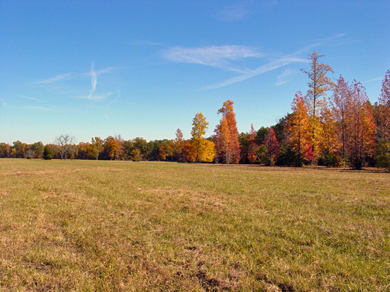 Tapp Field