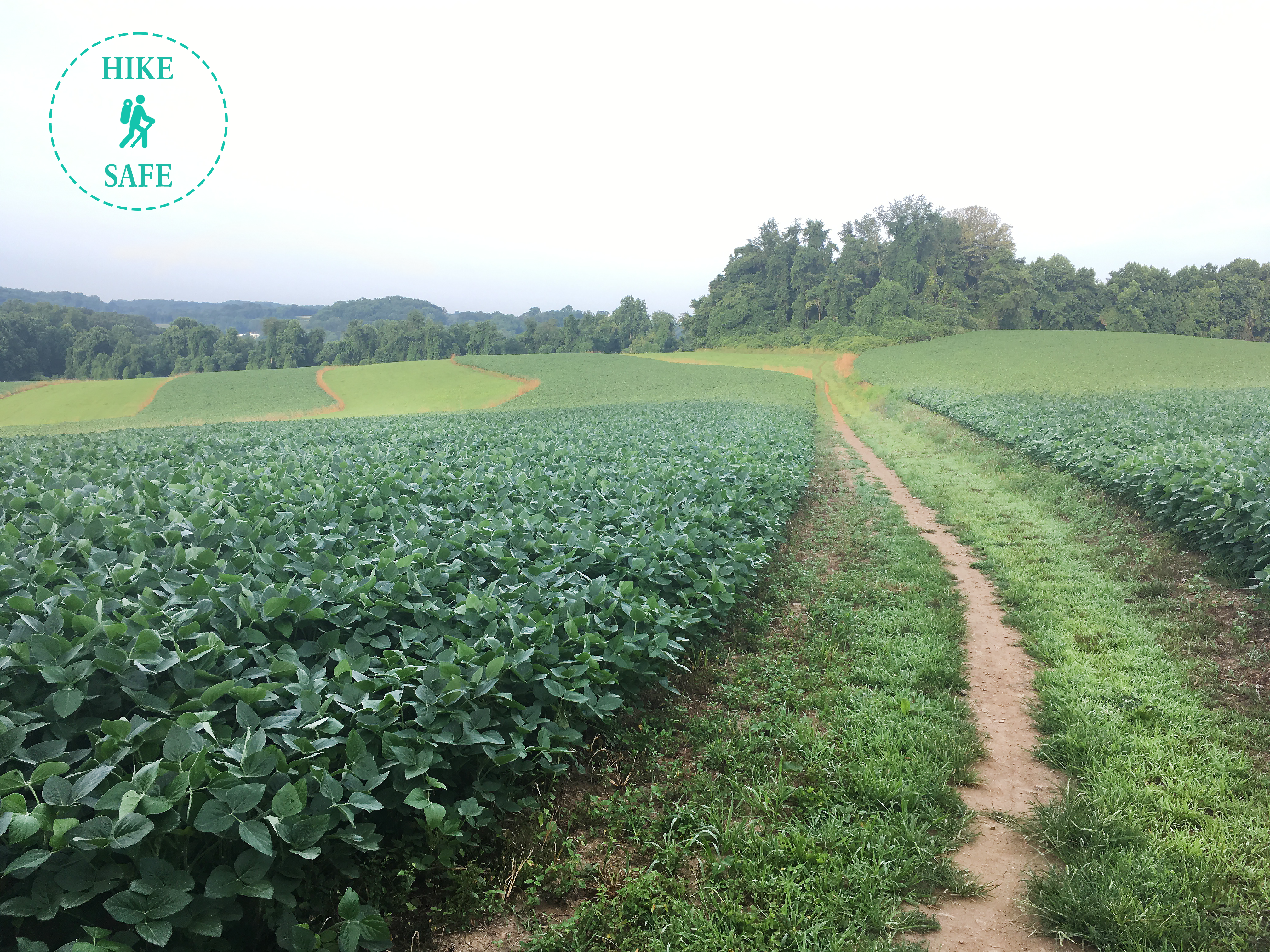 A trail cuts through an agricultural field with a stamp that says hike safe.