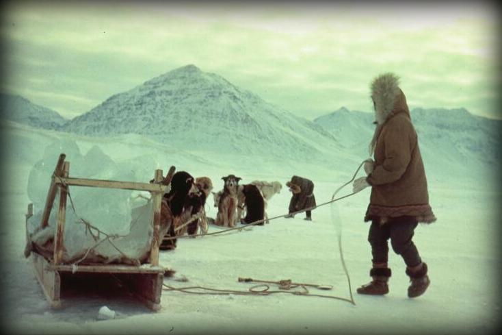 GATHERING ICE