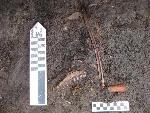 Artifacts in situ