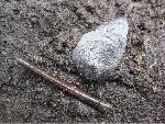 Flake tool and bird bone