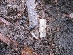 Artifacts in situ
