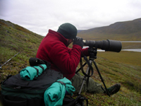 Resident Artist Carl Johns takes a picture of a caribou.