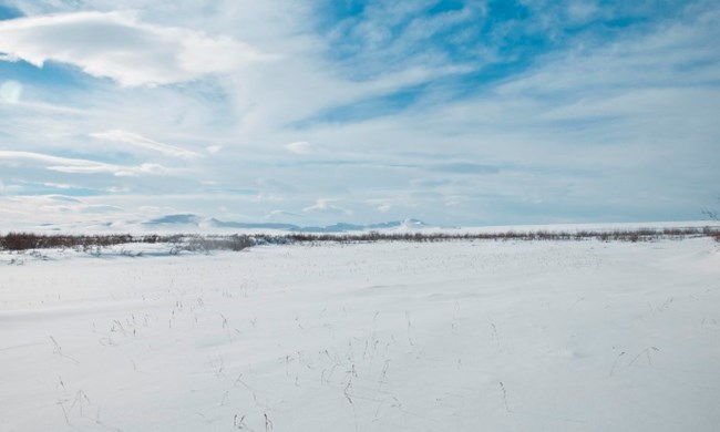An expansive snowy winter scene on the arctic tundra with mountains in the distance