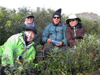 Group photo of four people bundled up against the cold in a sheltered shrubby place.