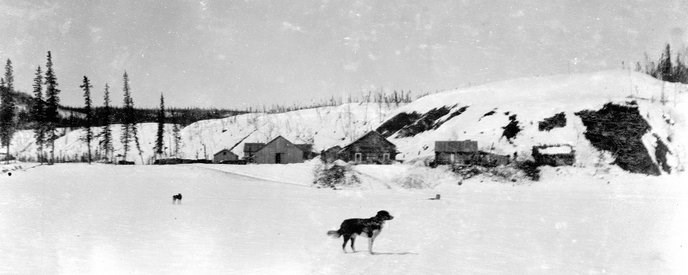 Historic image of the town of Bettles during the winter of 1900 with a dog standing on the frozen river in the foreground.