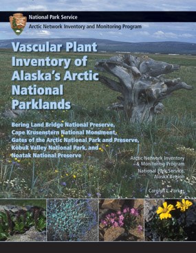 Technical Report Cover with a photo of a weathered stump surrounded by wildflowers.