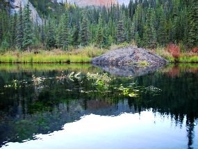 A beaver lodge sits along the edge of a pond that reflects the trees and mountains that surround it.