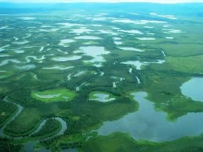 A  mosaic of wetlands from the air.