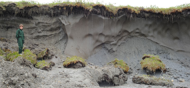 Permafrost Gates Of The Arctic National Park &amp; Preserve
