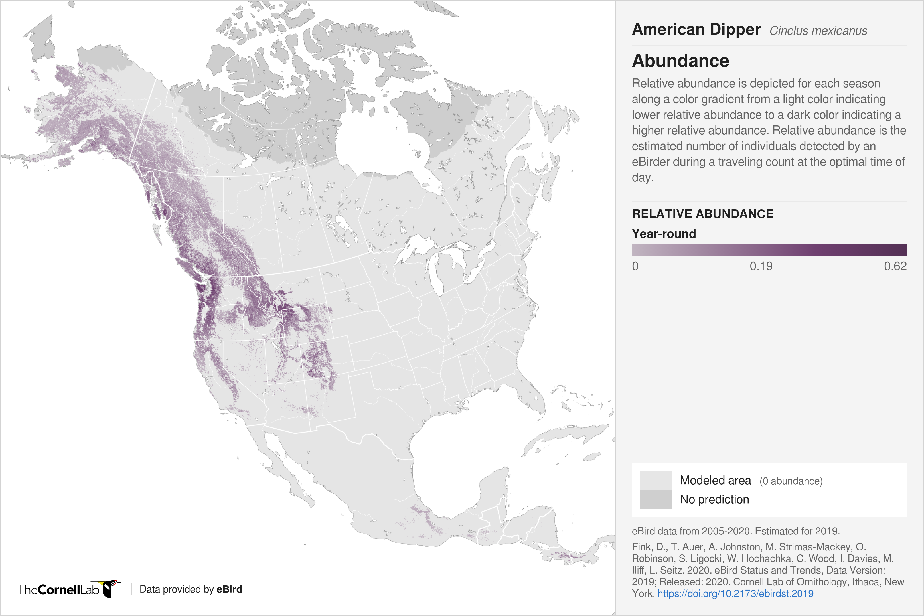 map of abundance of american dippers in north america