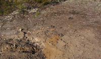Evidence of over use in the Arrigetch Peaks Evidence of over use in the Arrigetch Peaks