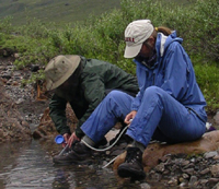 Filtering water in the Itkillik valley.