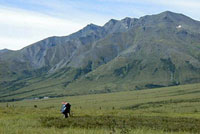 Hiking along a river with mountains in the distance.