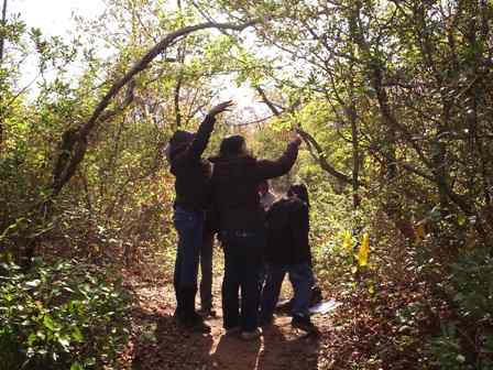 Students learning how to measure wind speed in the maritime forest of Fort Tilden.