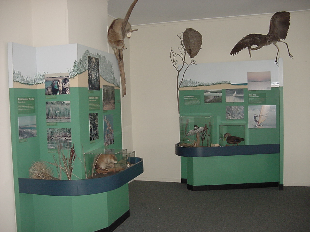 Bring a group to see the visitor center.