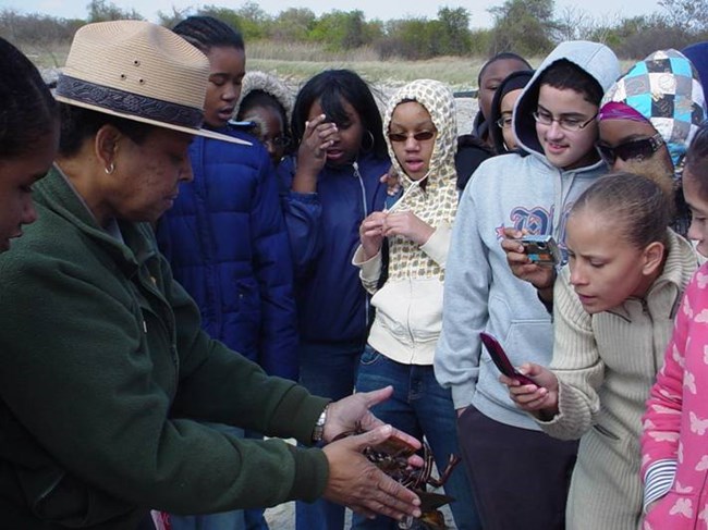 Students take a look at a horseshoe crab.