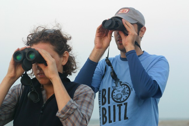 BioBlitzes are a terrific way to establish baseline data for a given area as well as involve and educate the public.