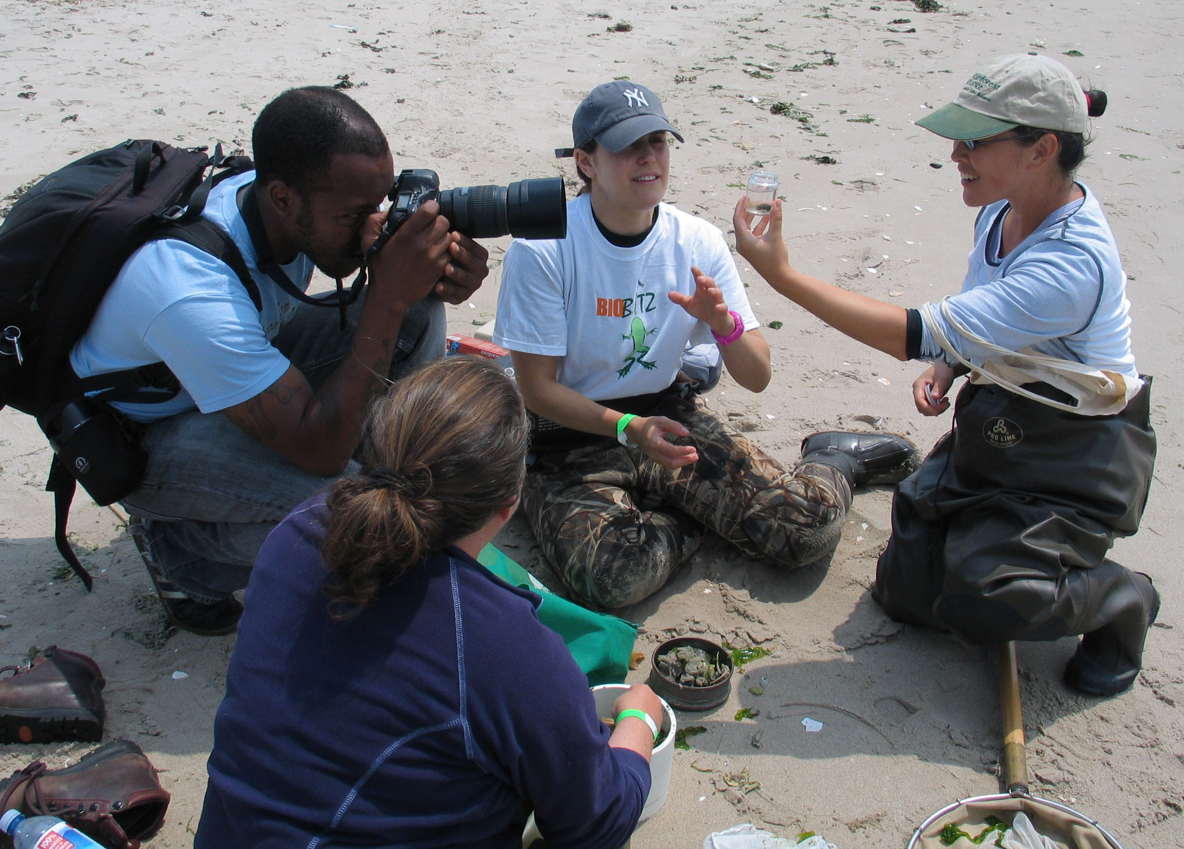 Volunteers and experts identified 484 species at the 2010 BioBlitz throughout Floyd Bennett Field located in the Jamaica Bay Unit of Gateway National Recreation Area.